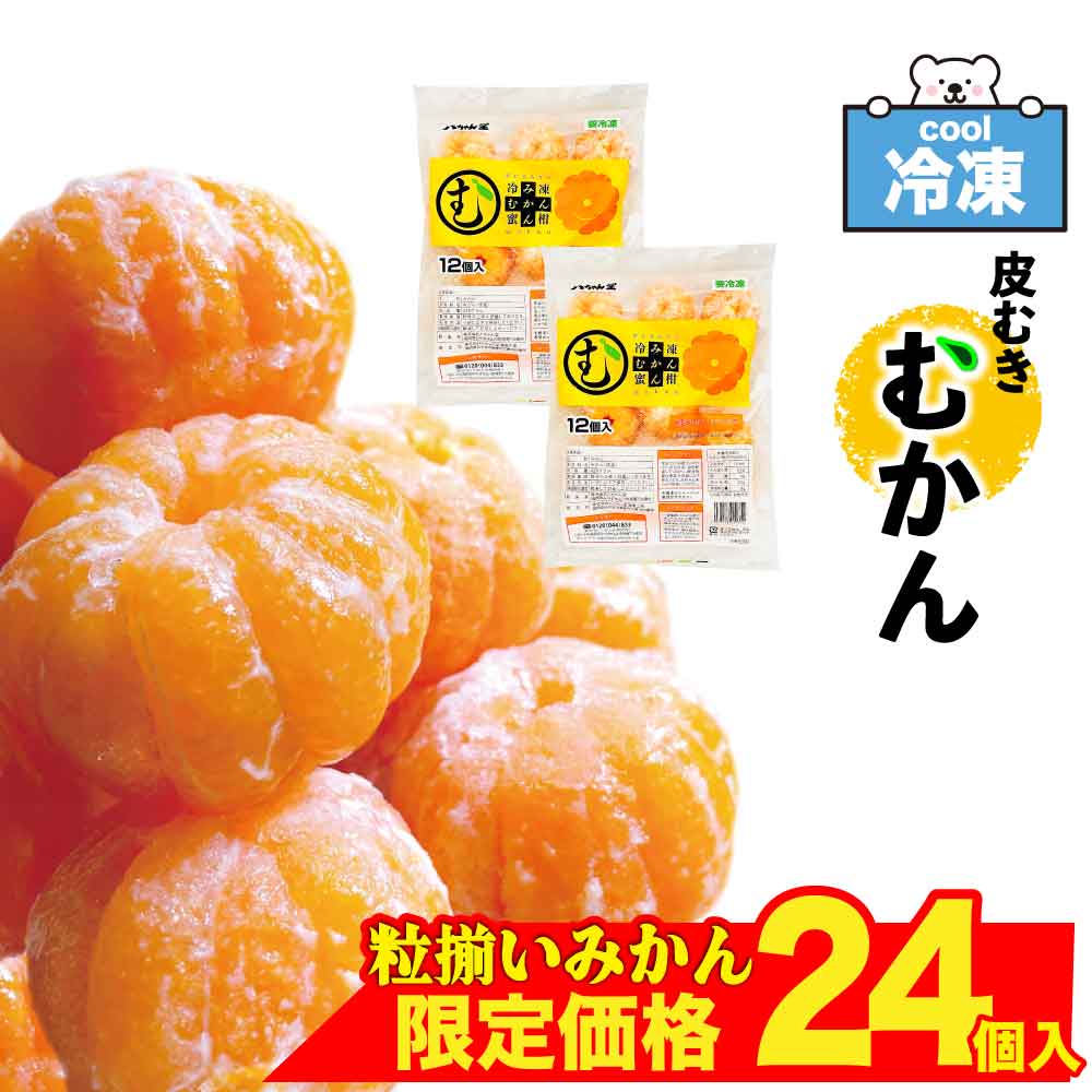 楽天市場】みかん（総個数2個入り）（食品）の通販