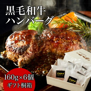 お歳暮 熨斗対応可 日時指定可 飛騨牛 ハンバーグ ギフト 冷凍 贈り物 国産牛 100% 手作り 160g×6個 桐箱 紙箱 牛肉 人気メニュー お店の味 国産和牛 ギフト箱 のし 焼肉牛兵衛【送料無料】