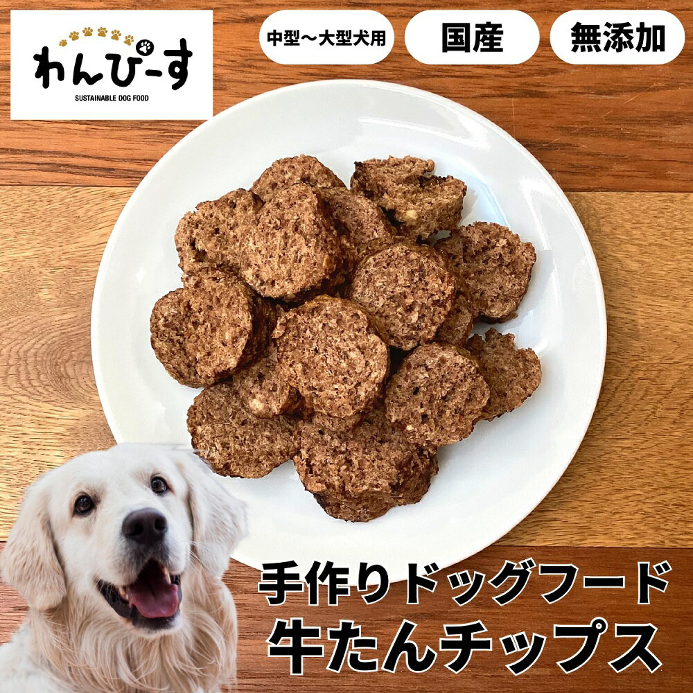 ドッグフード 牛たんチップス 50g 無