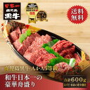 送料無料 鹿児島黒牛 黒毛和牛 A4 A5 等級 和牛 豪華舟盛り 600g 盛合せ パーティー プレゼント お中元 お歳暮 焼肉 バーベキュー アウトドア 4~5人前 希少部位 焼き肉盛り合わせ 誕生日 お取り寄せ イベント のし対応