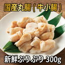 国産牛 新鮮 ぷりぷり 丸腸 小腸 300g 選べる内容量 【900g以上で送料無料】 まとめ買いがお得 マルチョウ ホルモン焼き もつ鍋 とんちゃん BBQ 焼肉 家庭用 プレゼント お歳暮 食べたらやみつき 中トロ 極上 ホルモン