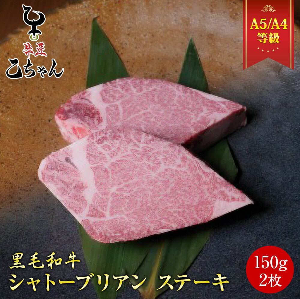 シャトーブリアン300g (150g×2枚) ステーキ 肉 冷凍 黒毛和牛 霜降り 赤身 ステーキ 国産 和牛 メス牛 A4 A5 ランク ひれ フィレ ギフト お取り寄せ グルメ 誕生日プレゼント お中元 内祝い お祝い 出産祝い 結婚祝い 父の日 母の日 乙川畜産食品 乙ちゃん 敬老の日