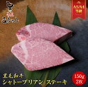 焼肉 訳あり 牛ヒレ肉 ひとくちステーキ 500g 冷凍 食品 肉 牛肉 フィレ わけあり やわらか 焼き肉 家飲み