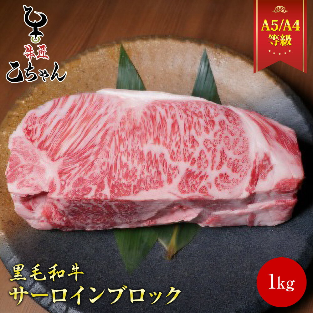 サーロインブロック 1Kg 塊肉 冷凍 ブロック肉 ステーキ肉 黒毛和牛 霜降り ステーキ 国産 和牛 メス牛 A4 A5 ランク サーロイン ギフト お取り寄せ グルメ 特大肉 誕生日プレゼント お中元 内祝い お祝い 出産祝い 結婚祝い 父の日 母の日 乙川畜産食品 乙ちゃん 敬老の日