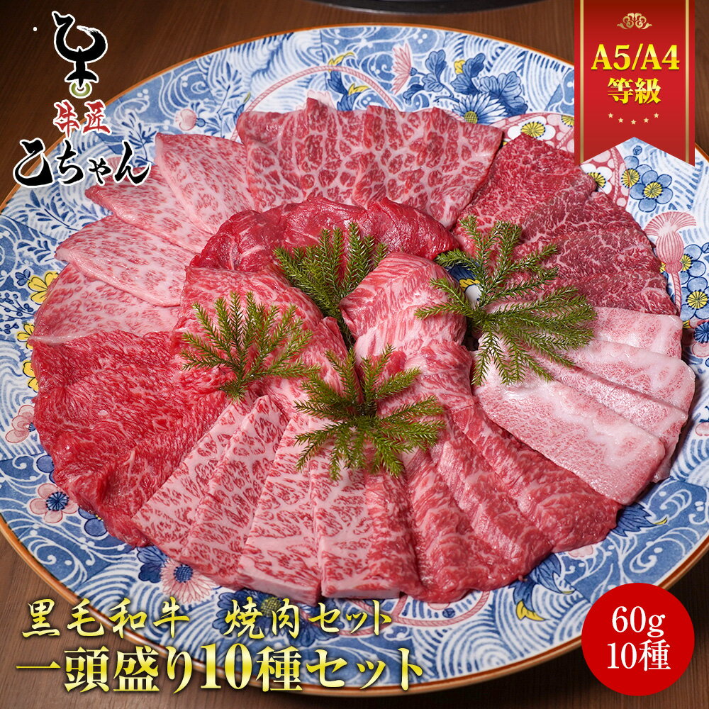 肉セット 焼肉セット 一頭盛り10種セット 600g (60gx10種) 選べる 冷凍 黒毛和牛 希少部位 手切り スライス 霜降り 赤身 国産 和牛 メス牛 A4 A5 ランク ギフト 誕生日プレゼント お中元 内祝い 出産祝い 結婚祝い 父の日 乙川畜産食品 乙ちゃん敬老の日