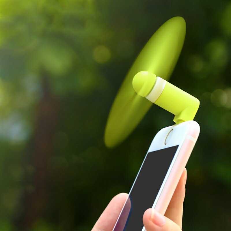 �ڥ����ѡ�SALE��P2�ܡۥϥ�ǥ��ե��� �ߥ������� ���������� ���� �Ų� ����� �������� ����ѥ��� ������� ���襤�� �ߥ˥ե��� TS091