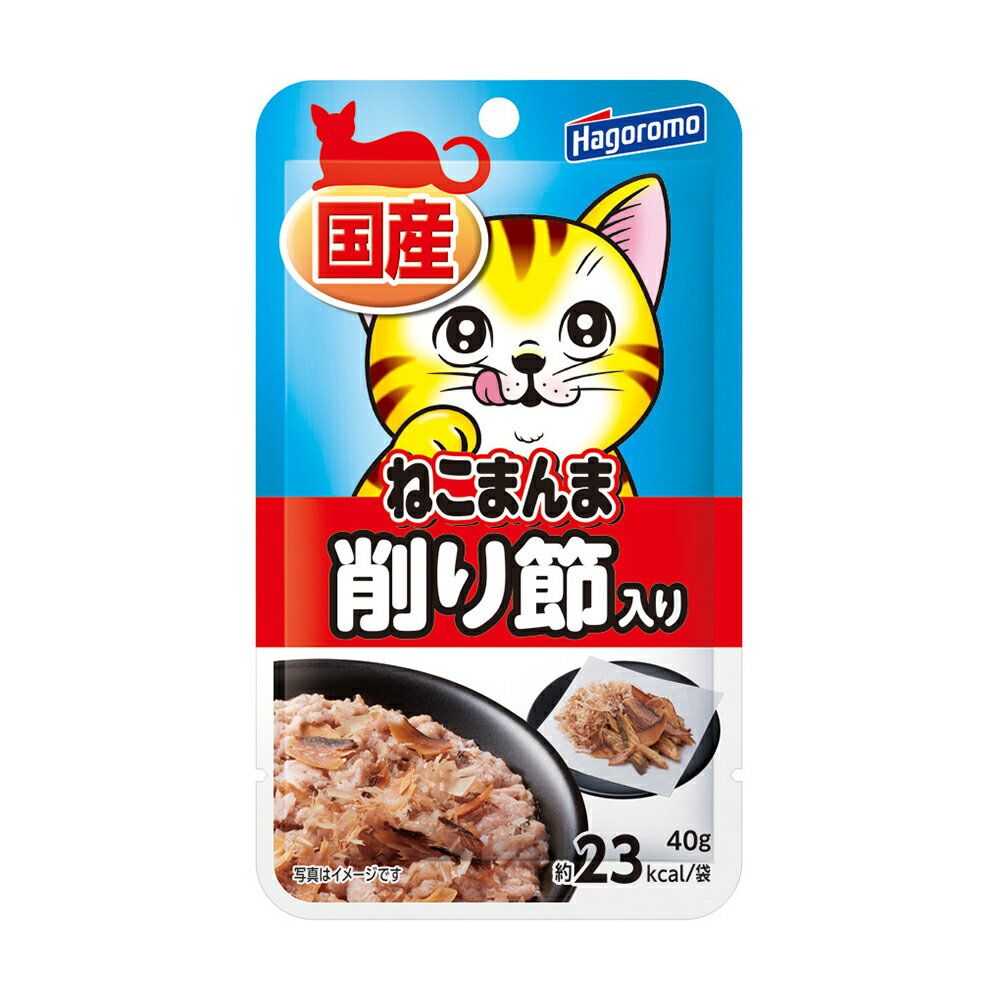 【訳あり】はごろもフーズ ねこまんま パウチ 削り節入り 40g ●賞味期限2023/07/31