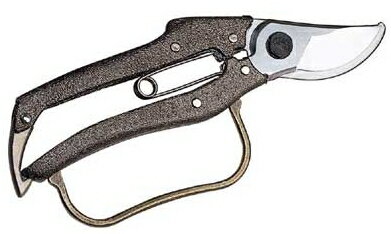 ���˥��������� �ץ�200������ �������� N-204 �ܿ��Ϥ��� ���� �̼�