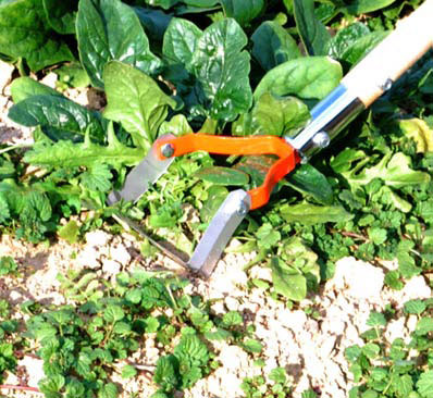 ���ɥ����� ��������Ϻ (DK-817) �ѿϥ����ʡ� �� ������� ���� Ȫ