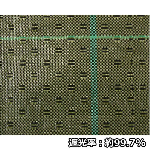 ������ܥ� �������𥷡���(�⥹���꡼��) 1��10m ��� ����