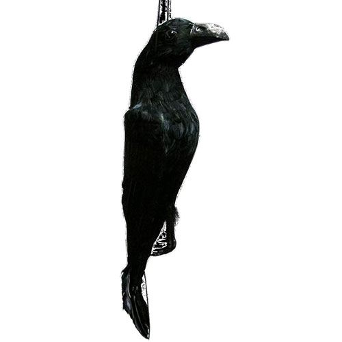 ■鳥追いカラス 黒ちゃんカラス避け・防鳥・防獣対策に！吊るし紐付き。本物そっくり！