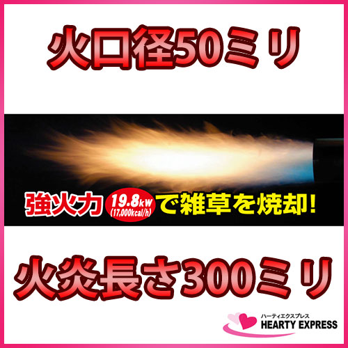 �����ٻ� ��Ƥ��С��ʡ� (KB-200) ������ �����ܥǥ� Shinfuji