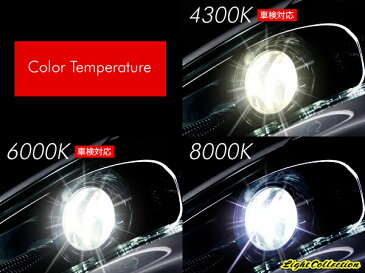 ポルテ ベルタに純正交換 HID D4R 白光 【送料無料】モデル信玄