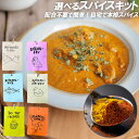 簡単 本格 選べるスパイス キーマカレー サバカレー カレーチキン バターチキン チャイ ホットワイン 配合済み 辛さ調整 失敗しにくい 無添加 無化学調味料 グルテンフリー スパイス カレー 簡単 スパイスカレー キャンプ アウトドア(4)