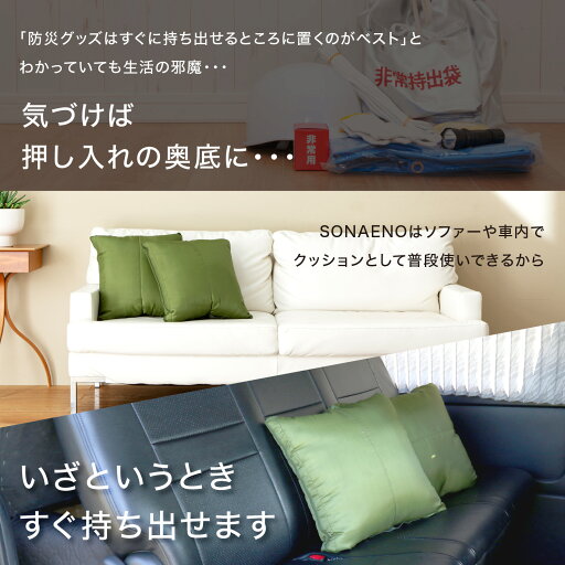 ケアオブスウェーデン オプティマルエバッグシート 10-080191 布担架 25-2326-00