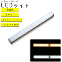 LED 人感センサー ライト USB充電 長時間 LEDライト センサーライト 照明 LED 人感ライト 足元ライト モーションセンサー マグネットライト 室内照明 屋内 感知式 玄関 クローゼット 廊下 寝室 キッチン ライト 防犯 災害 防災 明るい フットライト 小型 マグネット 磁石