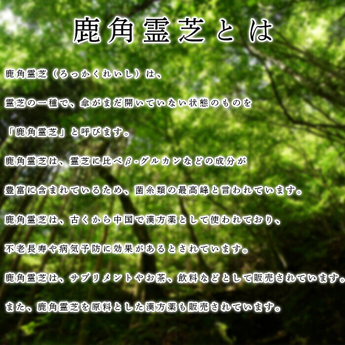 ＼ポイント5倍+クーポン／ 【正規代理店】 鹿角霊芝栽培キット 家庭用 きのこ栽培...