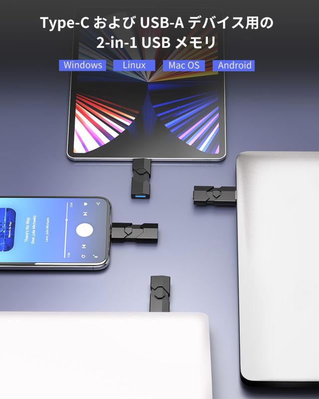 RAOYI USBメモリ Type C 高速転送データ USB 3.0 フラッシュドライブ 2IN1 USBメモリ タイプC PC/Android/Laptopに対応(Type-C&amp;Type-A)