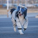 ワンちゃん用 かっぱ 犬用 レインコート 中型 犬 大型 ボーダーコリー ラブラドール ゴールデンレトリバー 四本 足 オールインクルーシブ ペット オール シ...