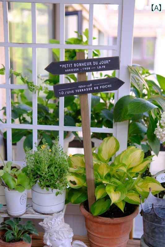 韓国っぽ 雑貨 アクセサリー 英語の 文字の 木製 フラワー ホルダー イン スタイル 雑貨 食料 品 庭 バルコニーの 装飾用 無垢材 ソケット