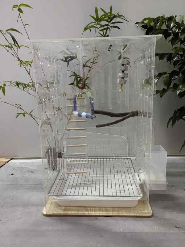 鳥かご ボックス 小鳥 飛 沫 防止 トレイ 付きの アクリル製 透明 鳥かご 大型 オウム ケージ 鳥 かご 虎 皮 牡丹と 黒 鳳凰の パノラマビュー