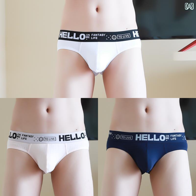 ジャストフィット メンズ 下着 パンツ メンズ 夏用 ブリーフ コットン ミッドロー ウエスト セクシー ホワイト パンツ 大きい ポーチ 付き