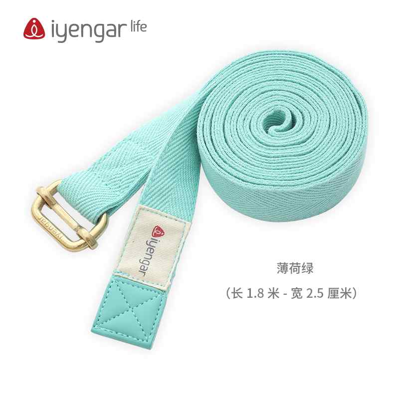 ストレッチベルト Iyengarlife アイアンガー ヨガ ベルト ストレッチ 12メートル以上せ むし 補助 ロープ