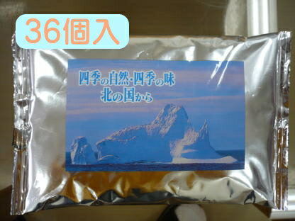 北海道 保冷剤 500g×36個入り（1ケース）アウトドア・熱中症対策・災害対策・お食事のテイクアウト・お菓子のプレゼントにも！保冷剤 アイスパック フリーザー アイス 製菓