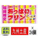 【1ケース】福岡 お土産 帰省土産 ☆秘密のデザート☆ おっぱいプリン(2カップ入り×24個)【九州限定】お取り寄せ 贈り物 博多土産 帰省 お菓子 土産 お返...