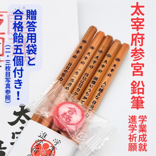 �ڥ쥿���ѥå��饤�Ȥ�ȯ���� �����ܻ��� ��ɮ (5����) �ڶ彣����� ��ʵ��� ���å� ���å� ʡ�� ���ڻ� £��ʪ ��¿�ڻ� ����� ��� ��ʱ�ɮ HB...