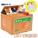 【2点までメール便も可能】ウゴック 猫の貯金箱 [動く ペーパークラフト 手作り 段ボール 工作 組立式 工作キット ネコ 貯金箱 小学生 夏休み 冬休み 宿...