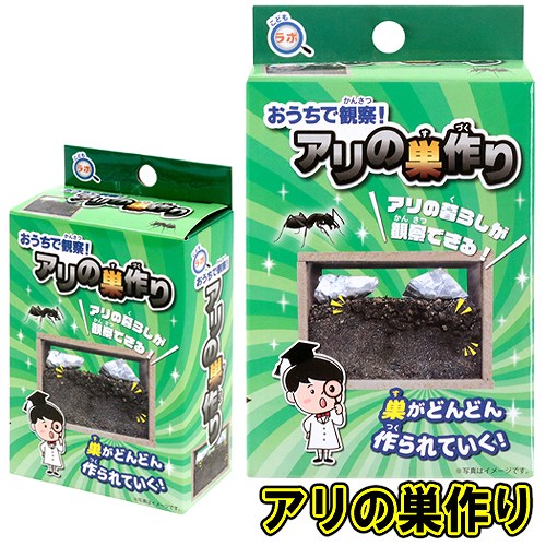 こどもラボ　おうちで観察！アリの巣作り　　[実験 蟻の巣 知育玩具 研究 教材 自由研究 観察 学習 夏休み 勉強 イベント]【B-3370_000828】