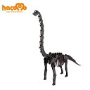 【5点までメール便も可能】 hacomo/ BLACK LABEL ブラキオサウルス(ブラック) [ペーパークラフト 恐竜 ダンボール工作 知育玩具 模型 夏...