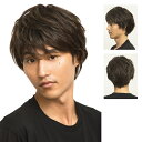 ヘアネット付き WIGGY RICH メンズ ナチュラルマッシュ（ダークブラウン） メンズウィッグ ウィッグメンズ マッシュ 男性用 かつら ファッションウィッグ 男装用 耐熱ウィッグ コスプレ 仮装 イベント 【879961】