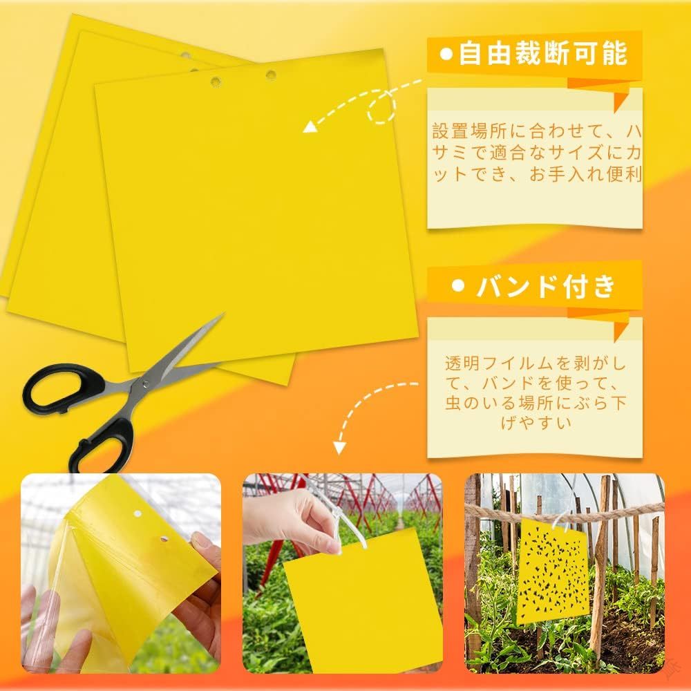 観葉植物を守る強力粘着トラップ ハエコバエ撃退のプロ仕様 貼るだけ簡単設置で害...