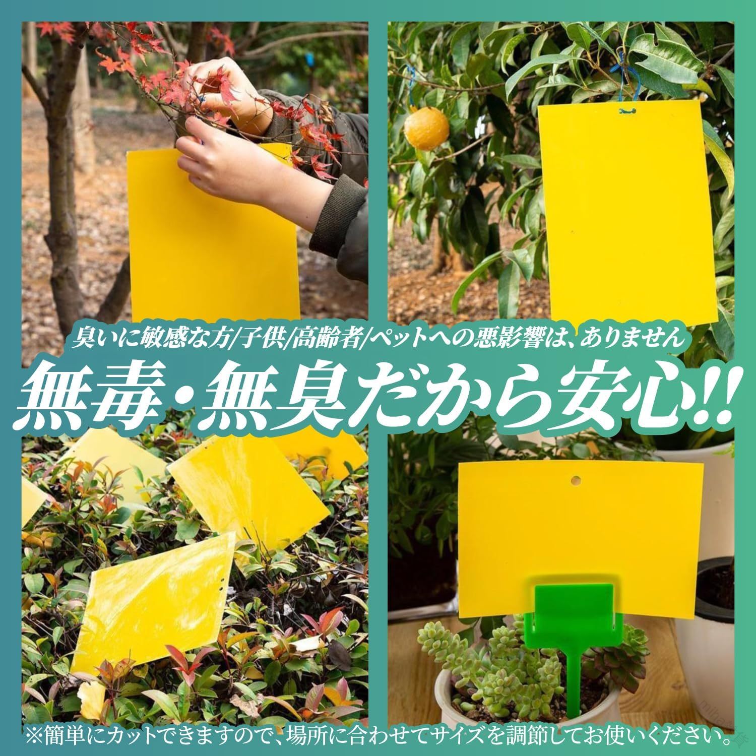 観葉植物を守る強力粘着トラップ ハエコバエ撃退のプロ仕様 貼るだけ簡単設置で害...