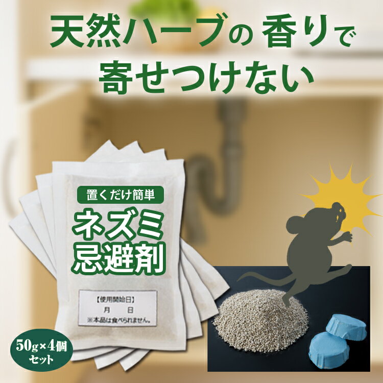 ͤ߶ ͤ  ͤ ͤߤȤ  ͥ ͤ༣   ̳ γ Ƿ Ѥβ