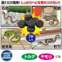 h-rescue:10006028のサンプル画像3