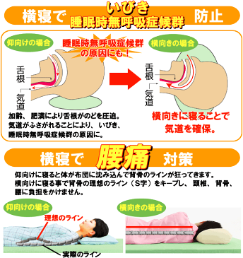 【送料無料】メイダイ 抱き枕[勝野式 横寝枕 3個set]いびき対策にはこの横寝専用まくら 睡眠いびき対策 まくら 熟睡 マクラ 低反発 無呼吸 対策 安眠 抱き枕 プレゼント