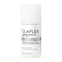 【LINE登録で300円OFF】オラプレックス No.5 リーブインコンディショナー 100ml[洗い流さない トリートメント 洗い流さないトリートメント ヘア...