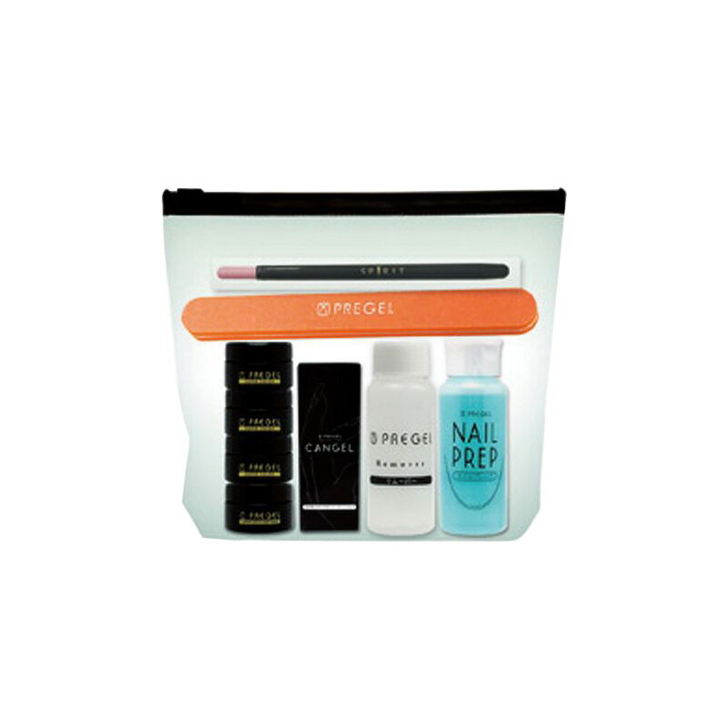 【LINE登録で300円OFF】PREGEL プリジェル 基本セット[ネイル ジェル カラージェル ジェルネイル サロン専売 美容室専売 美容院 美容師 おすす...