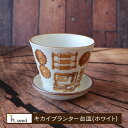 キカイ プランター(台皿付) 吉田焼