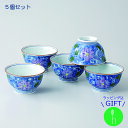 〈ギフトセット〉幸祥窯 色絵花唐草 煎茶揃 (木箱入)和 食器 モダン おしゃれ 北欧 料理 贈り物 御祝 プレゼント おすすめ 日本製 磁器 陶器