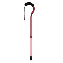  pi tWz[ t~SN Lk  XebL fB[vbh WB3884 Walking Stick Fuji Home WB3884 y  pXe Mtg ̓