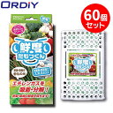 【ポイント10倍】オルディ 鮮度たもつくん 60個セット 冷蔵庫 野菜室 鮮度保持 抗菌 野菜 果物 新鮮 オルディ節約くんシリーズ まとめ買い ケース売り