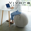 ◎★ Vivora シーティングボール ルーノ シェニール ベージュ 802 バランスボール姿勢 ダイエット イス クッション 一人掛け インテリア yamazaki 送料無料 その1