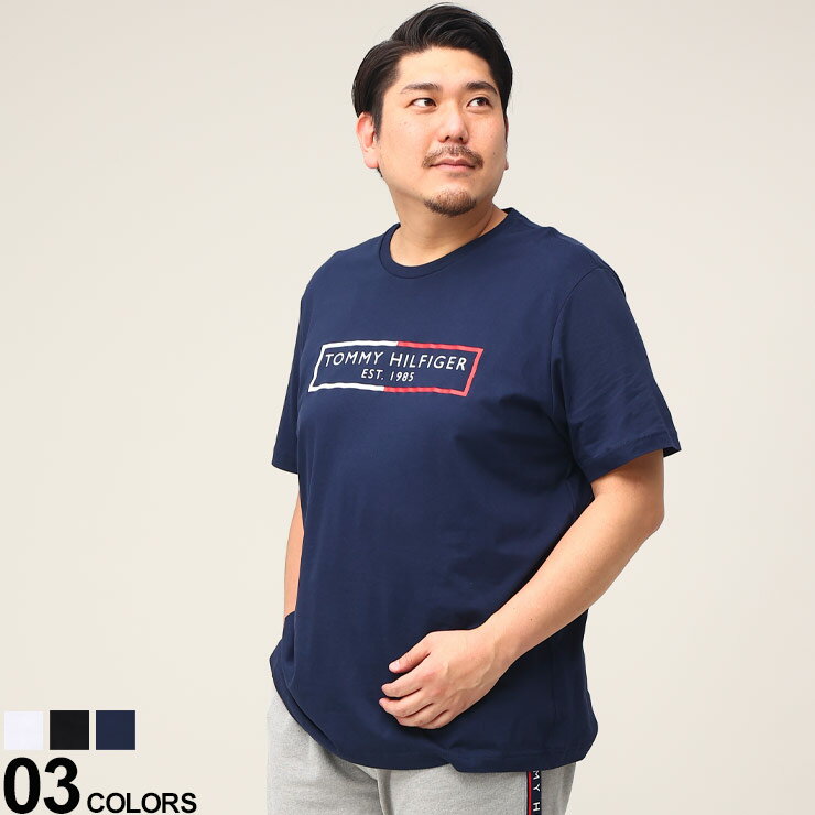 大きいサイズ メンズ TOMMY HILFIGER (トミーヒルフィガー) ロゴプリント クルーネック 半袖 Tシャツ Tシャツ 半袖 プリント 春 夏 09T4287D22