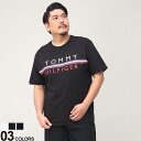 傫TCY Y TOMMY HILFIGER (g~[qtBK[) Svg N[lbN  TVc BRANDY SS TEE TVc  vg t  78J8756D22