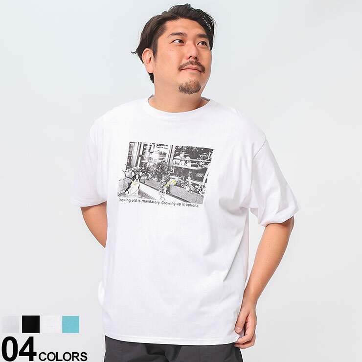 Rakuten - B＆T CLUB (ビーアンドティークラブ) フォトグラフィック×刺繍 クルーネック 半袖 Tシャツ Q2410321S 大きいサイズ メンズ トップス シャツ 半袖 クルーネック