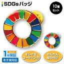 【1/9 20時～先着200名様15％OFFクーポンあり】【10個セット】SDGs バッジ 簡単 取り付け きれい 持続可能な開発目標 Sustainable Development Goals